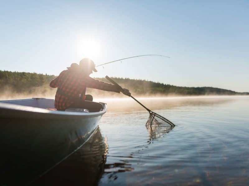 Essential fishing accessories  Fishing is simple, it's not that