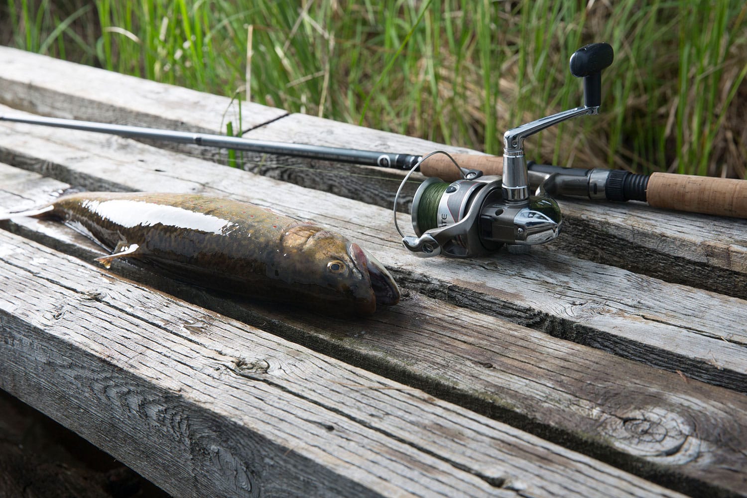 Get the Best Fishing Rod: Part I Rod Specs - In-Fisherman