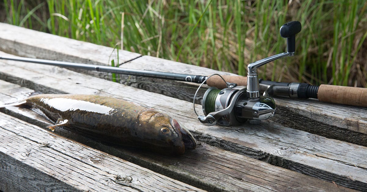 Choosing your fishing rod and reel